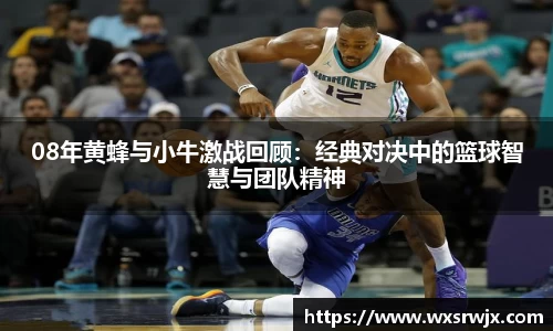 08年黄蜂与小牛激战回顾：经典对决中的篮球智慧与团队精神