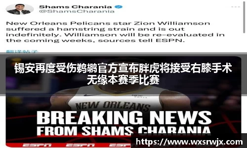 锡安再度受伤鹈鹕官方宣布胖虎将接受右膝手术无缘本赛季比赛